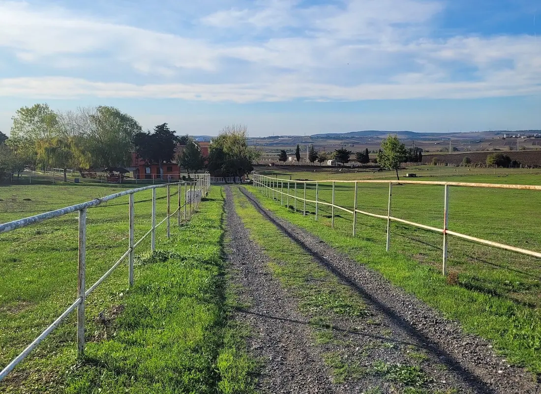 Farm in Silivri